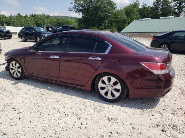 1HGCP36858A024230 - 2008 HONDA ACCORD EXL BURGUNDY photo 2