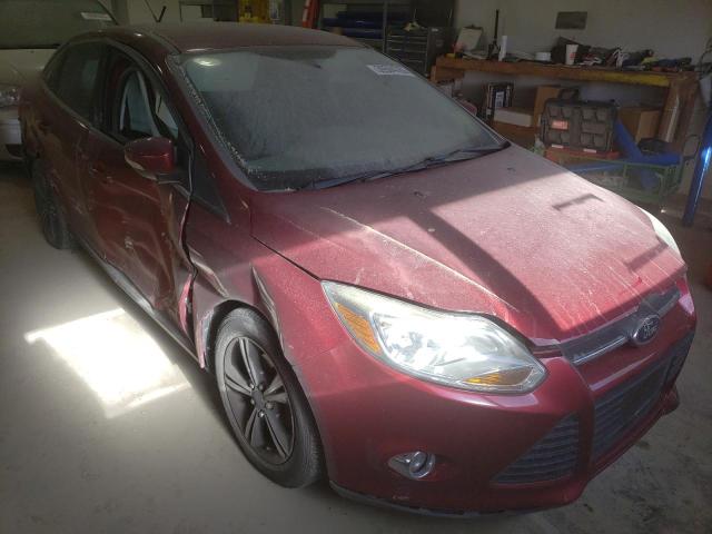 1FADP3F26EL244657 - 2014 FORD FOCUS SE RED photo 4