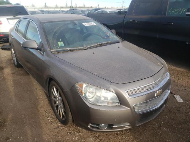 1G1ZE5EB7AF229752 - 2010 CHEVROLET MALIBU LTZ ყავისფერი ფოტო 1