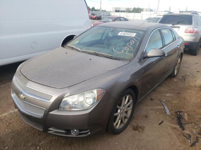 1G1ZE5EB7AF229752 - 2010 CHEVROLET MALIBU LTZ ყავისფერი ფოტო 2