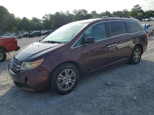 2013 HONDA ODYSSEY EXL, null