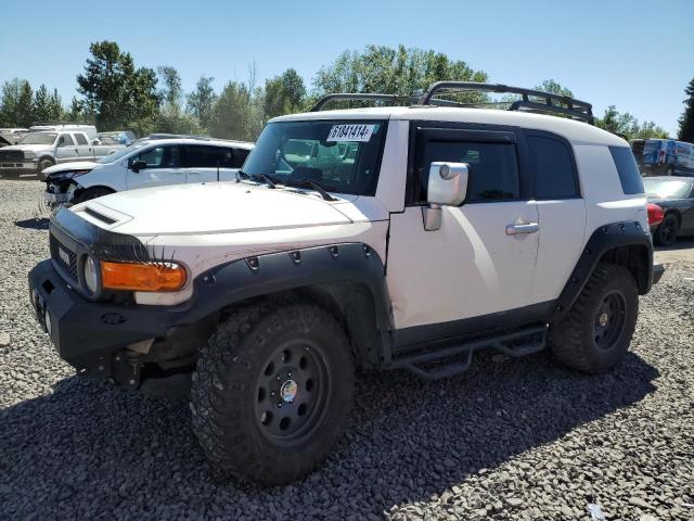 JTEBU4BF3AK080420 - 2010 TOYOTA FJ CRUISER WHITE photo 1