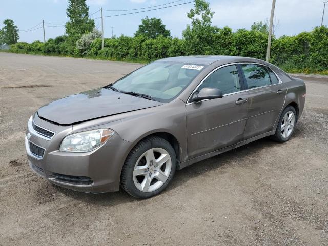 2011 CHEVROLET MALIBU LS, 
