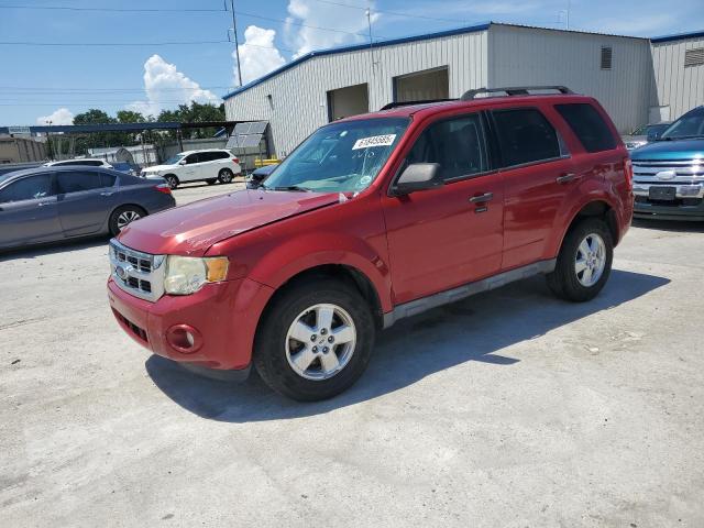 2010 FORD ESCAPE XLT, 