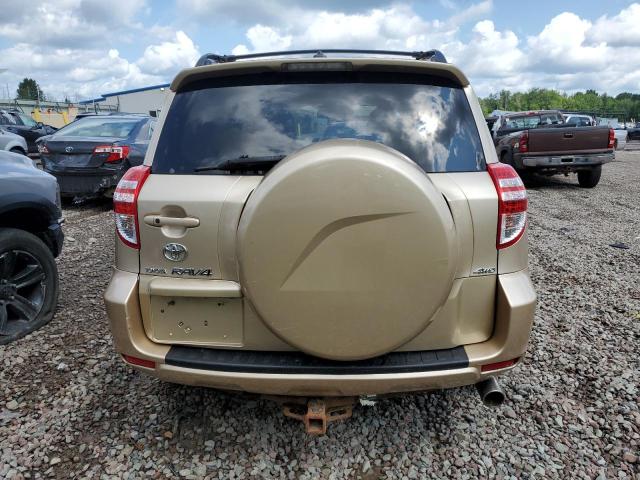 2T3DK4DV2AW014469 - 2010 TOYOTA RAV4 LIMITED GOLD photo 6