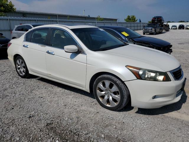 1HGCP36889A004152 - 2009 HONDA ACCORD EXL WHITE photo 4