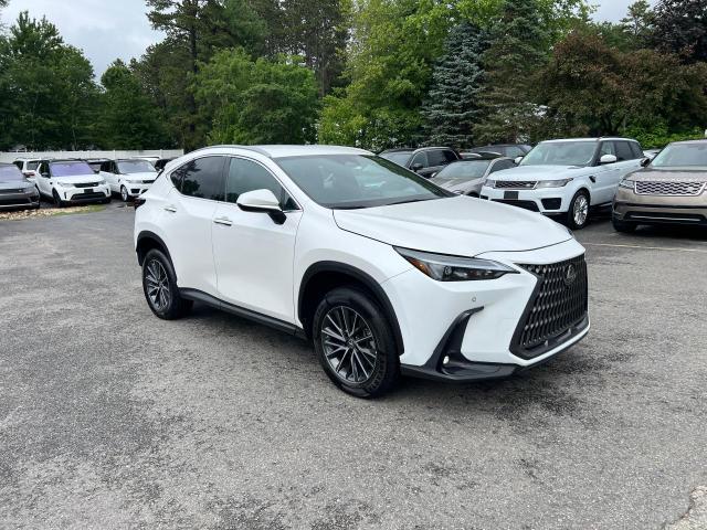 2022 LEXUS NX 250, null
