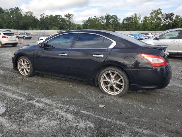 1N4AA5AP3AC868817 - 2010 NISSAN MAXIMA S BLACK photo 2