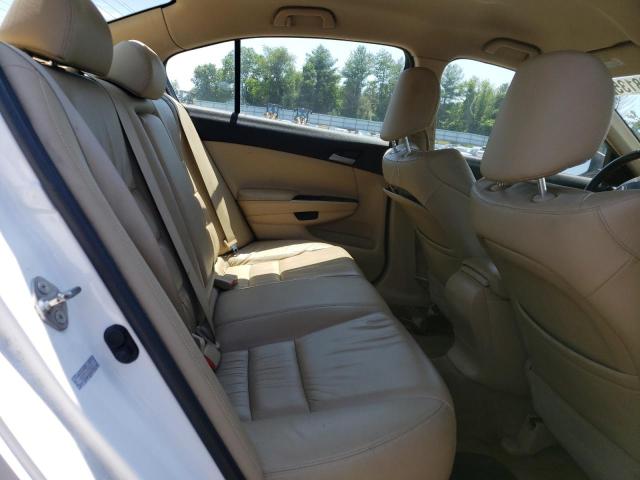 1HGCP2F61CA085723 - 2012 HONDA ACCORD SE WHITE photo 10