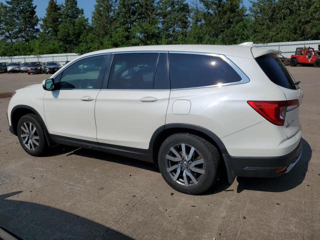 5FNYF6H56KB065993 - 2019 HONDA PILOT EXL WHITE photo 2