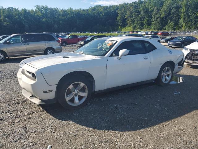 2B3CJ4DG4BH557275 - 2011 DODGE CHALLENGER WHITE photo 1