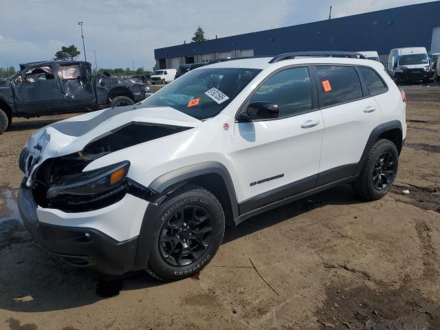 1C4PJMBN0PD106916 - 2023 JEEP CHEROKEE TRAILHAWK WHITE photo 1