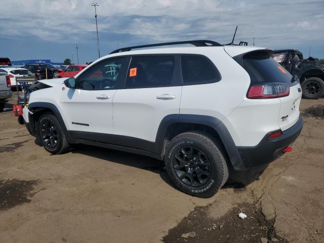 1C4PJMBN0PD106916 - 2023 JEEP CHEROKEE TRAILHAWK WHITE photo 2
