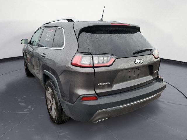 1C4PJMDX4KD293732 - 2019 JEEP CHEROKEE LIMITED GRAY photo 2