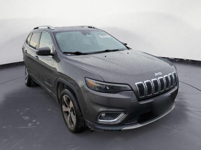 1C4PJMDX4KD293732 - 2019 JEEP CHEROKEE LIMITED GRAY photo 4