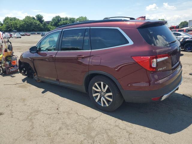 5FNYF6H5XKB073613 - 2019 HONDA PILOT EXL BURGUNDY photo 2