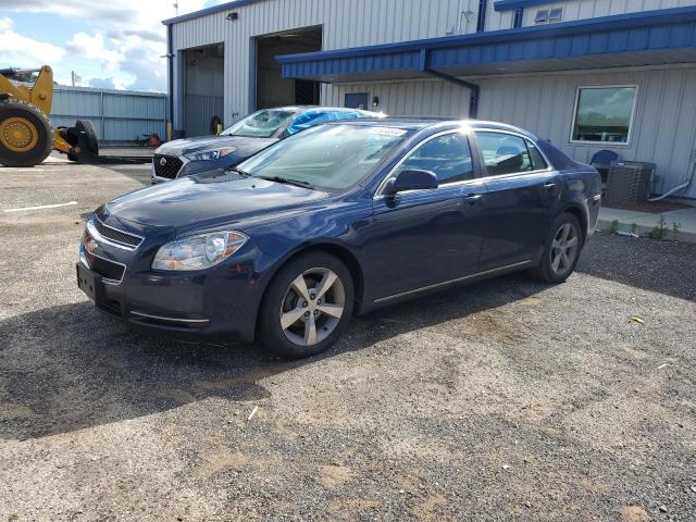 1G1ZC5EU4BF104443 - 2011 CHEVROLET MALIBU 1LT 蓝色 照片 1
