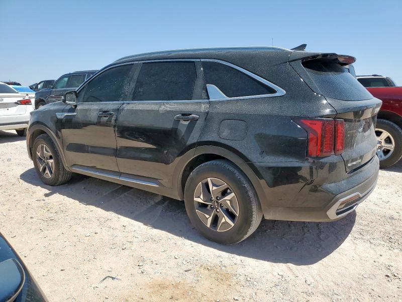 KNDRH4LG6R5246907 - 2024 KIA SORENTO EX BLACK photo 2