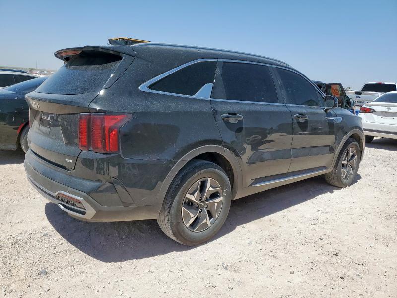 KNDRH4LG6R5246907 - 2024 KIA SORENTO EX BLACK photo 3