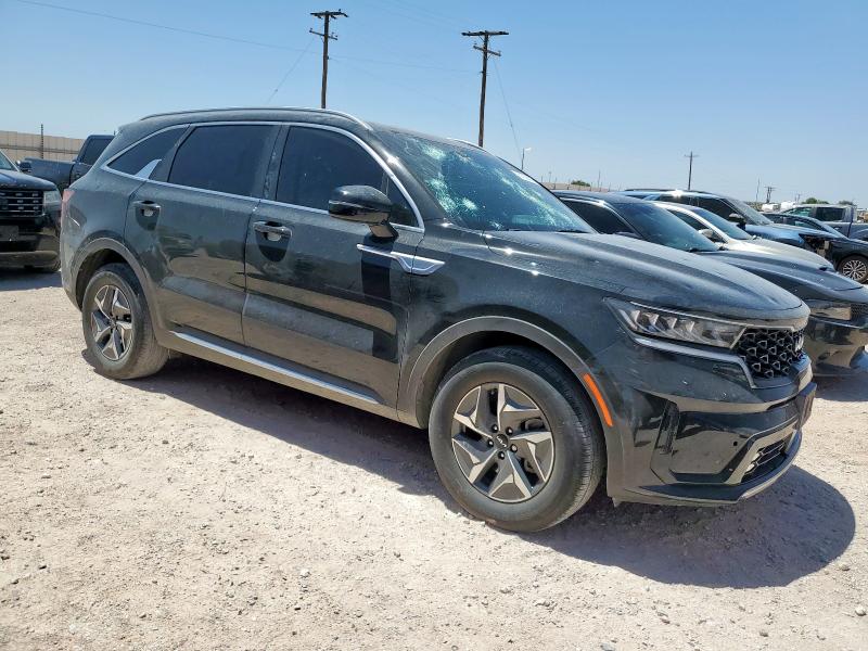 KNDRH4LG6R5246907 - 2024 KIA SORENTO EX BLACK photo 4