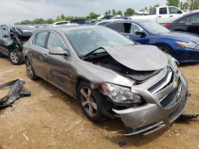 1G1ZC5E1XBF204617 - 2011 CHEVROLET MALIBU 1LT BROWN photo 4