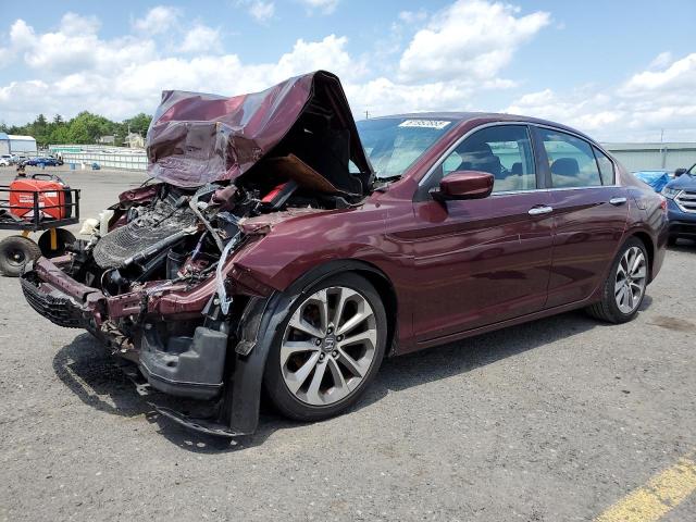 2013 HONDA ACCORD SPORT, null