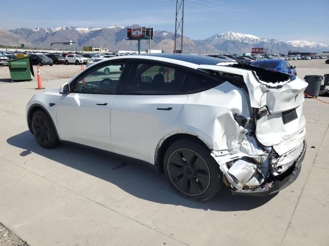 5YJYGDEE0LF054673 - 2020 TESLA MODEL Y Ağ foto 2