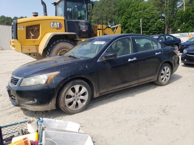 2008 HONDA ACCORD EXL, null