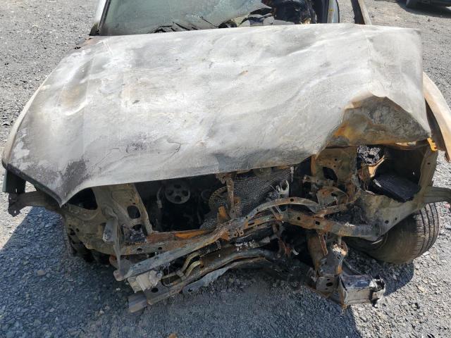 5TFSZ5AN8KX200172 - 2019 TOYOTA TACOMA ACCESS CAB თეთრი ფოტო 11