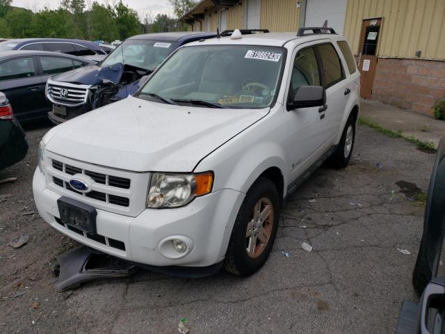 1FMCU5K32BKB48787 - 2011 FORD ESCAPE HYBRID WHITE photo 1