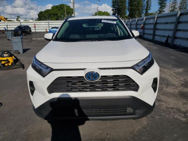JTMRWRFV0RD270512 - 2024 TOYOTA RAV4 XLE WHITE photo 5