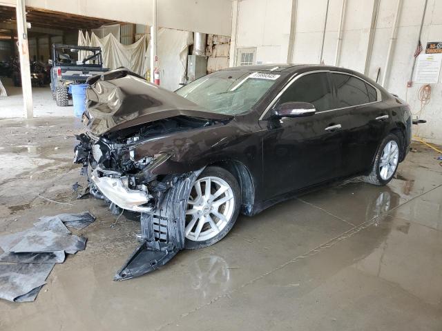 2010 NISSAN MAXIMA S, null