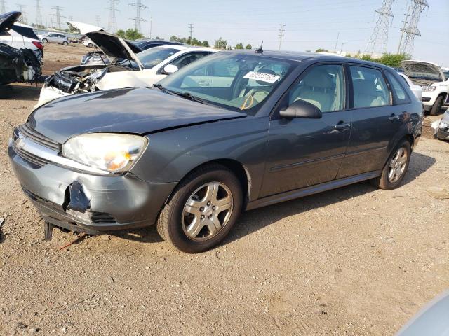 1G1ZU64854F146095 - 2004 CHEVROLET MALIBU MAXX LT GRAY photo 1