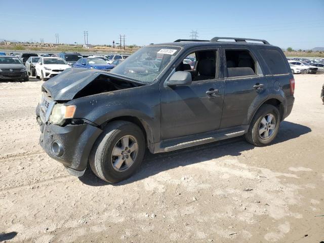 2009 FORD ESCAPE XLT, 