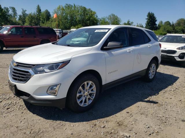 2019 CHEVROLET EQUINOX LS, 