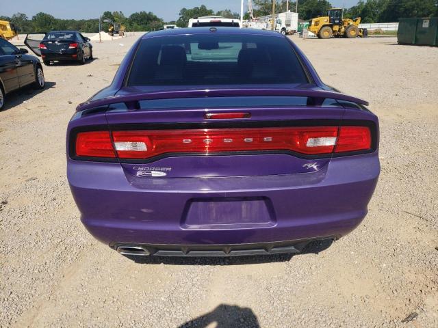 2C3CDXCT4EH147333 - 2014 DODGE CHARGER R/T PURPLE photo 6