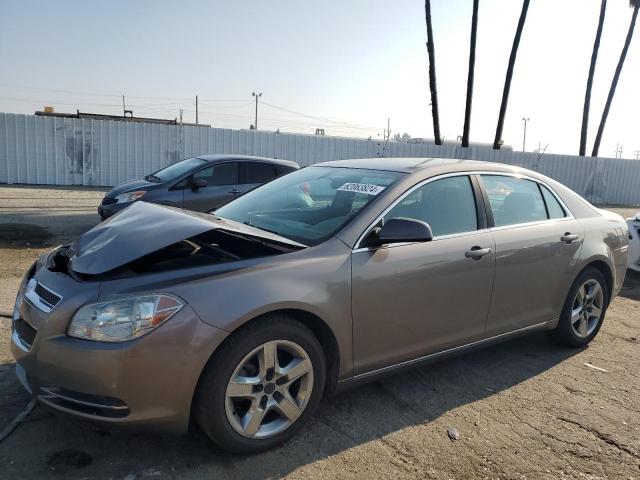 1G1ZC5E01AF305809 - 2010 CHEVROLET MALIBU 1LT GRAY photo 1