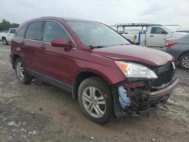 5J6RE4H76BL121984 - 2011 HONDA CR-V EXL BURGUNDY photo 4