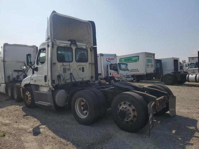 1FUGGED56FLGC1965 - 2015 FREIGHTLINER CASCADIA 1 Սպիտակ լուսանկար 3