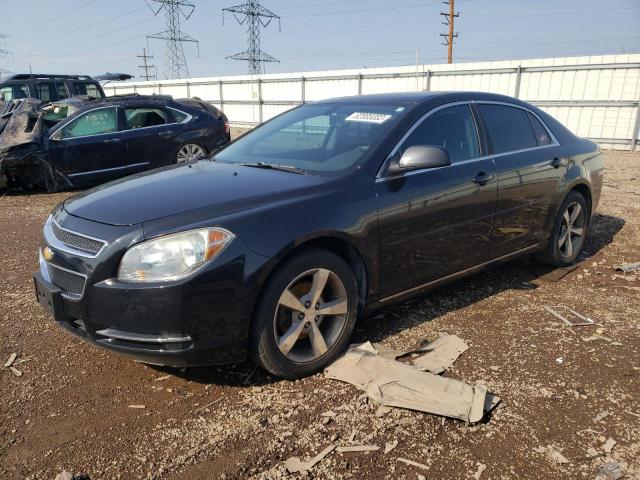 1G1ZC5E19BF327406 - 2011 CHEVROLET MALIBU 1LT 黑色 照片 1
