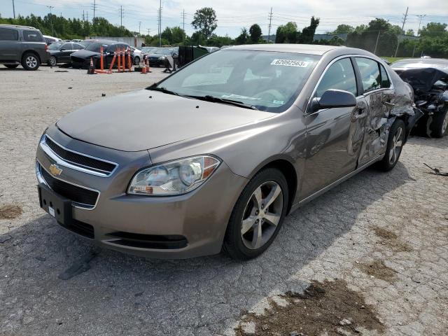 1G1ZC5E15BF269178 - 2011 CHEVROLET MALIBU 1LT 金色 照片 1