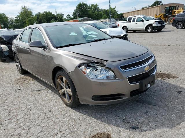 1G1ZC5E15BF269178 - 2011 CHEVROLET MALIBU 1LT 金色 照片 4