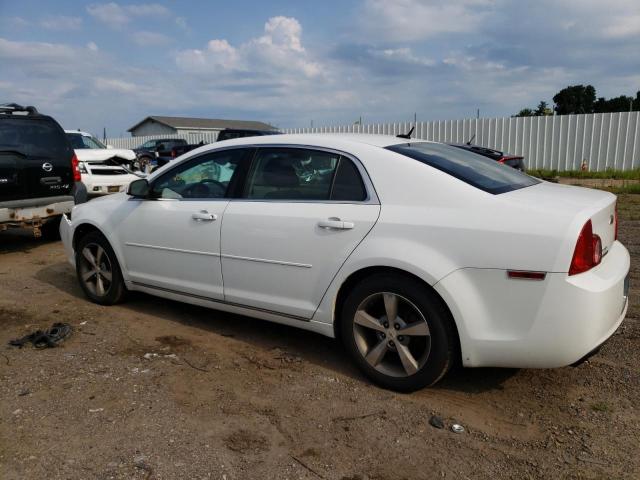 1G1ZC5E18BF193293 - 2011 CHEVROLET MALIBU 1LT 白色 照片 2