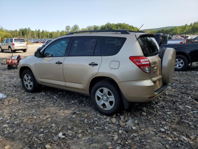 2T3BF4DV4AW060266 - 2010 TOYOTA RAV4 GOLD photo 2