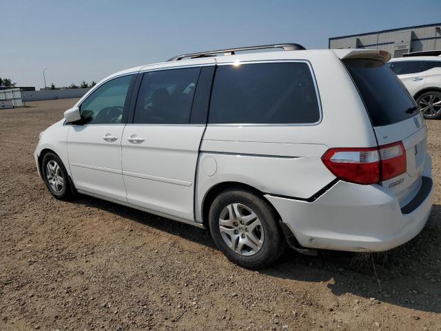 5FNRL38796B066557 - 2006 HONDA ODYSSEY EXL WHITE photo 2