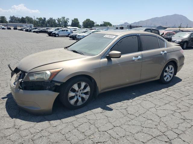 2008 HONDA ACCORD EXL, null