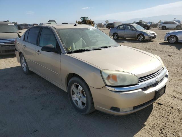 1G1ZU54855F263736 - 2005 CHEVROLET MALIBU LT GOLD photo 4