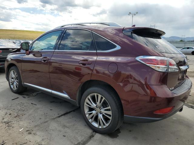 2T2BK1BA9DC222946 - 2013 LEXUS RX 350 BASE BURGUNDY photo 2