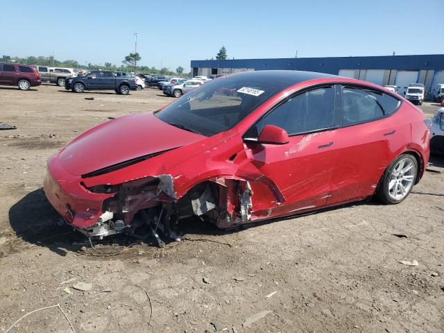 2022 TESLA MODEL Y, null