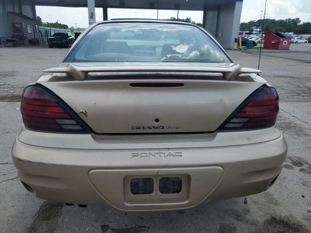 1G2NF52F34M520313 - 2004 PONTIAC GRAND AM SE1 GOLD photo 6